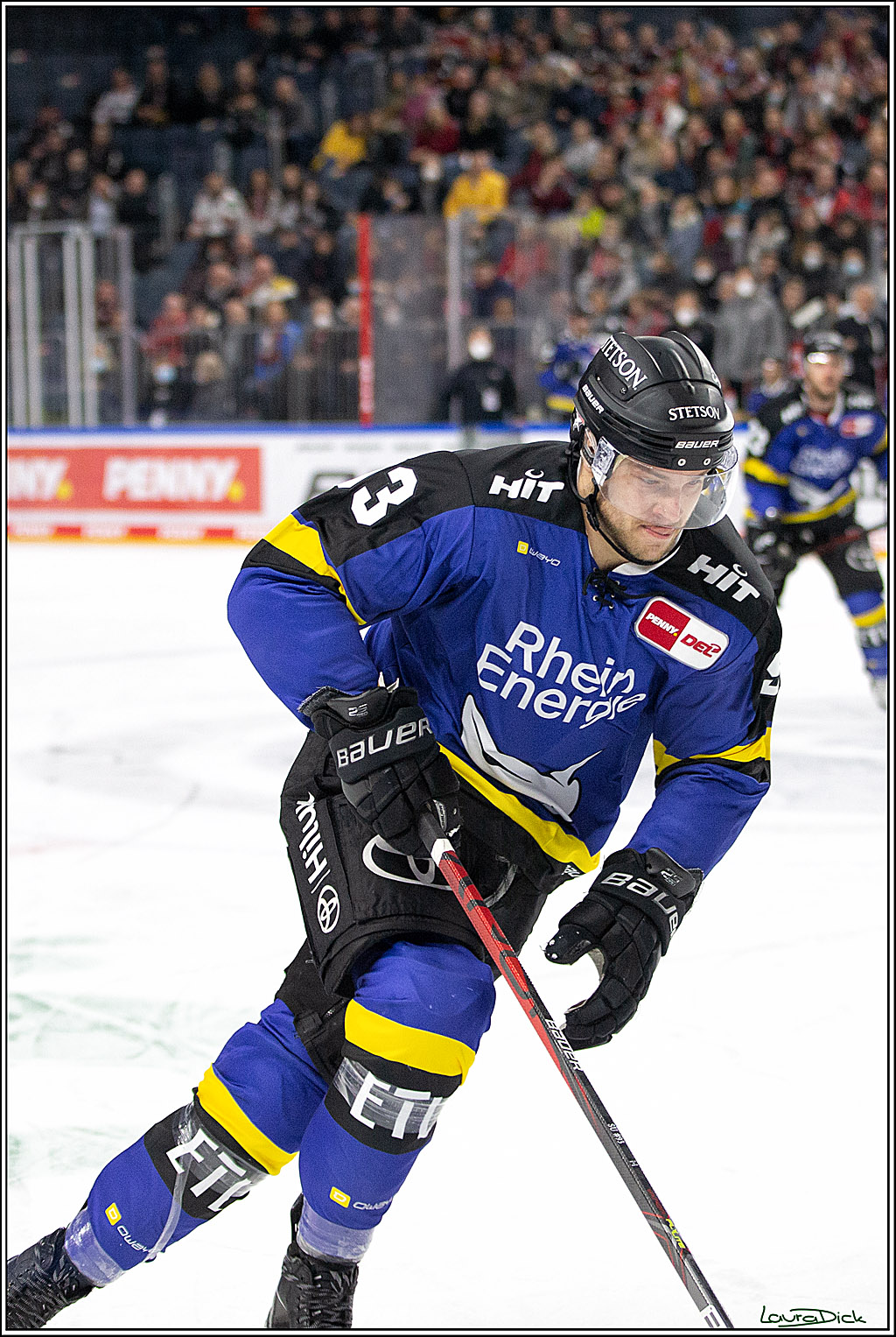 PENNY DEL; Koelner Haie- Fishtown Pinguins Bremerhaven; Koeln, 23.11.2021